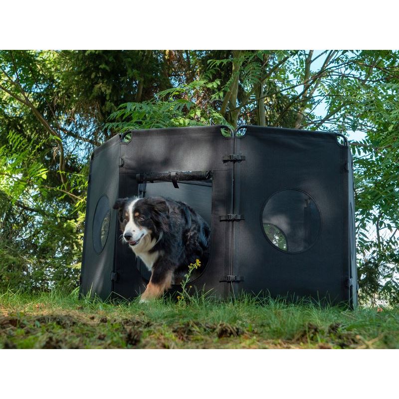 Dog Guard