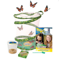 Giant Butterfly Garden Grow Your Butterflies Free Life Cycle