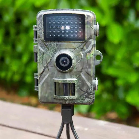 summit wildlife camera, 1080p or 4K recording of wildlife in any weather conditions, at any time